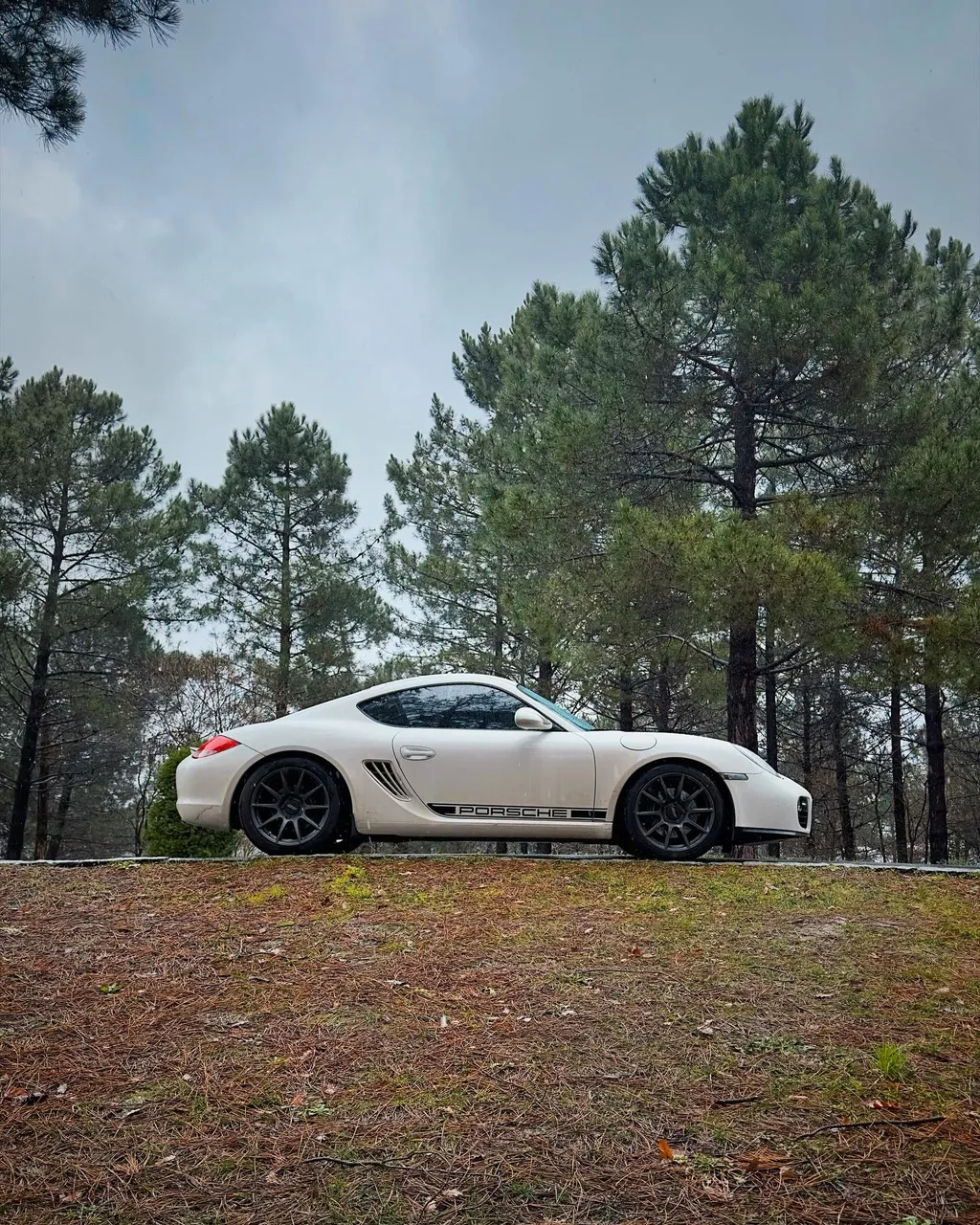 Porsche — SM-10